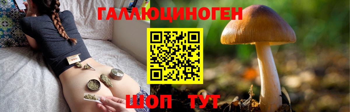 Приморско-Ахтарск  Псилоцибиновые грибы мицелий  Вход с VPN 