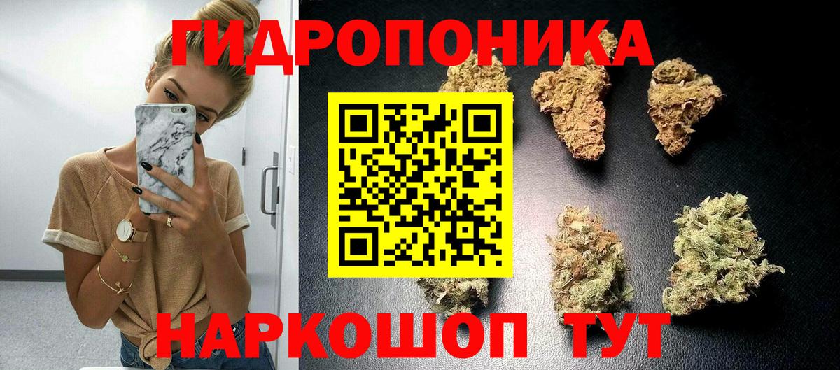 Канабис White Widow Приморско-Ахтарск